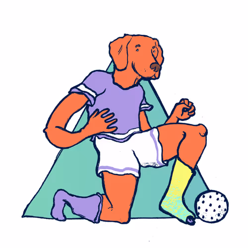 Footballcritter