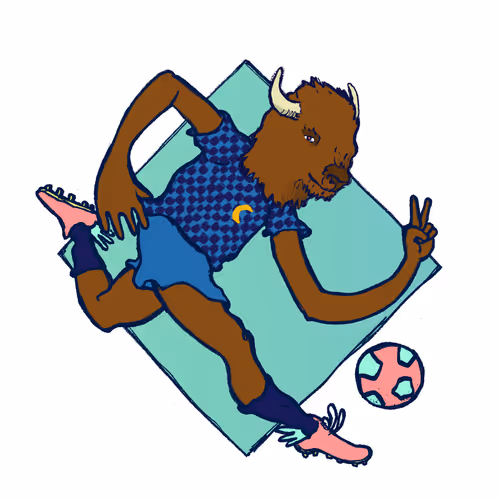 Footballcritter