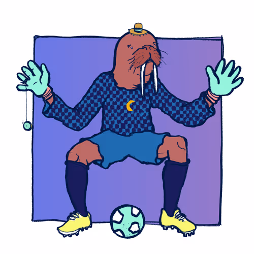 Footballcritter