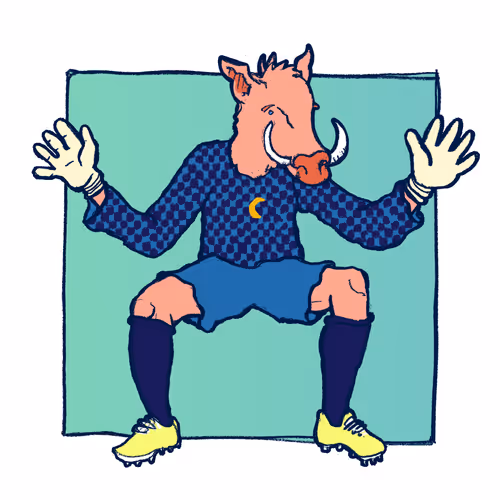 Footballcritter