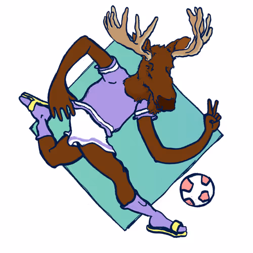 Footballcritter