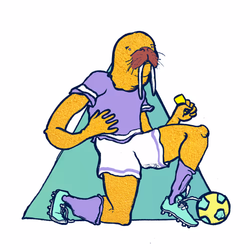 Footballcritter