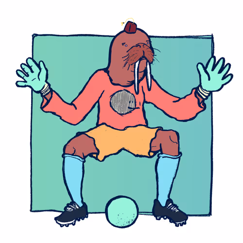 Footballcritter