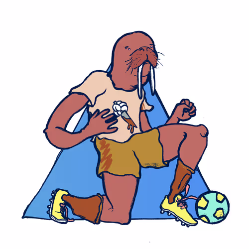 Footballcritter