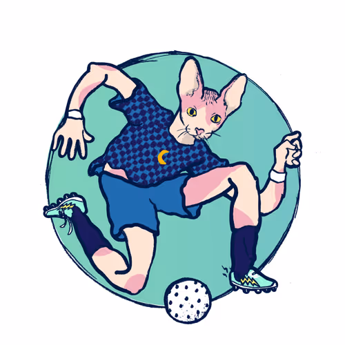 Footballcritter