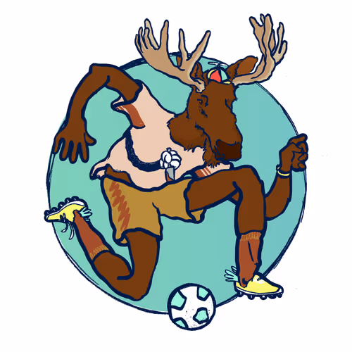 Footballcritter