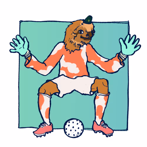 Footballcritter