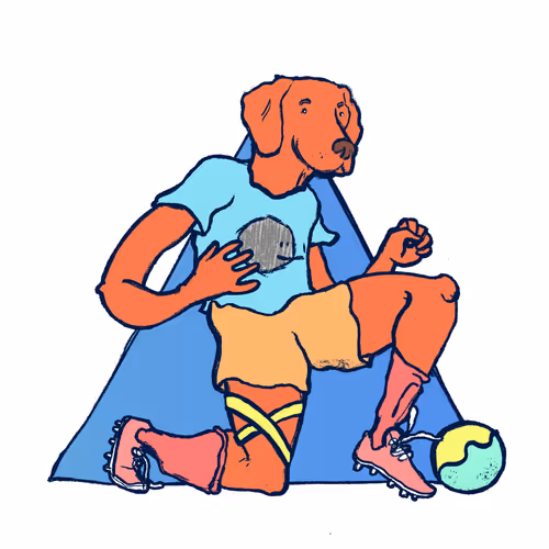 Footballcritter
