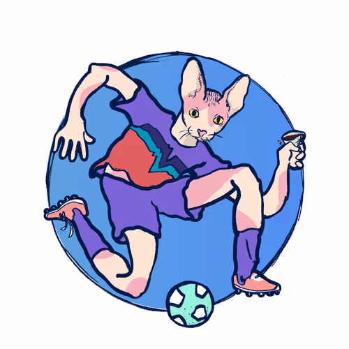 Footballcritter