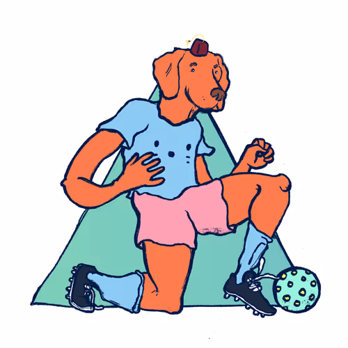 Footballcritter