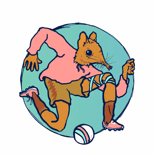 Footballcritter