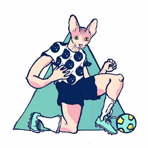 Footballcritter
