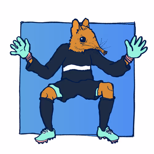 Footballcritter