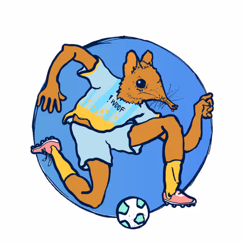Footballcritter