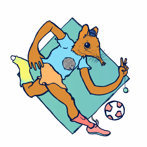 Footballcritter