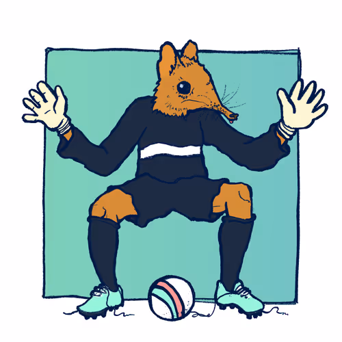 Footballcritter