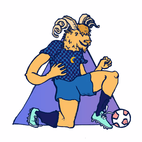 Footballcritter