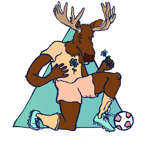 Footballcritter