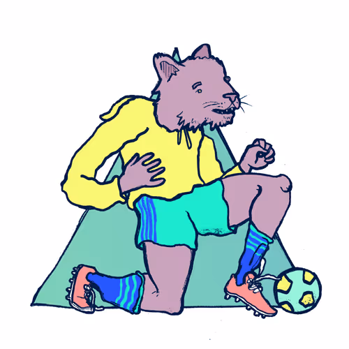 Footballcritter