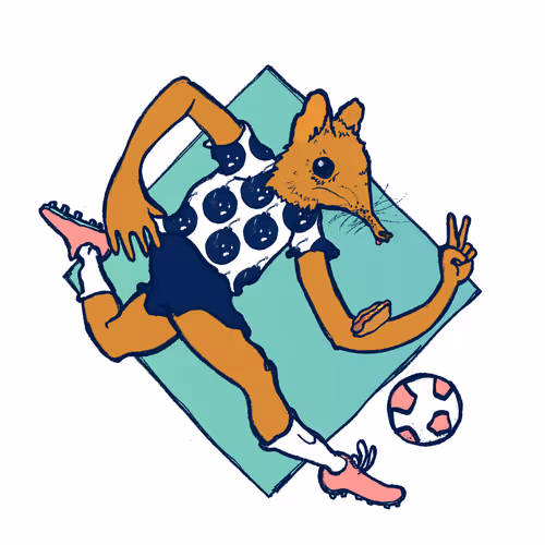 Footballcritter