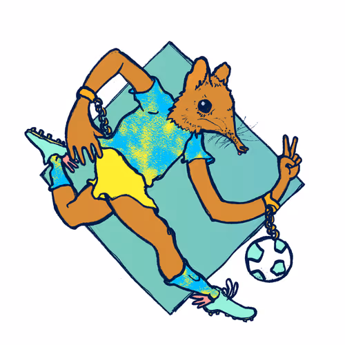 Footballcritter