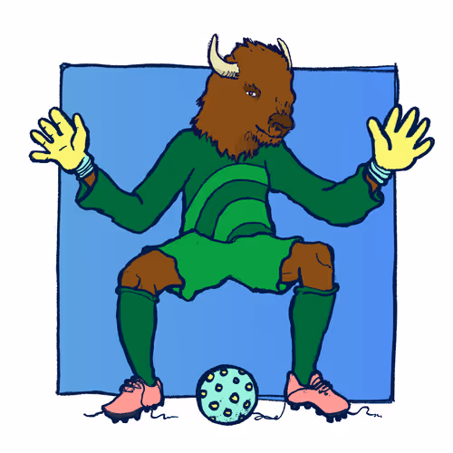 Footballcritter