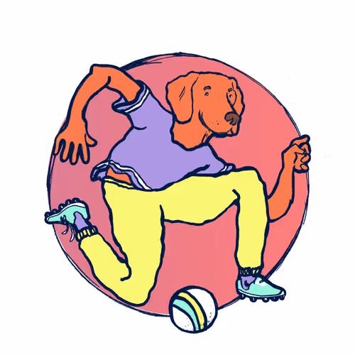 Footballcritter
