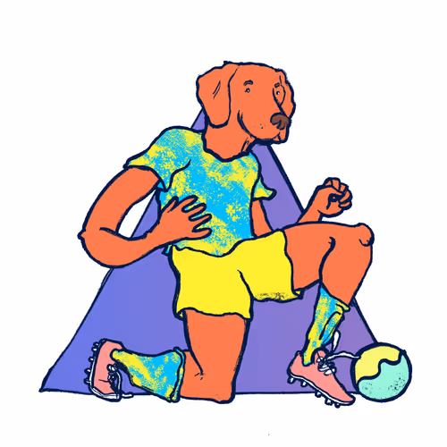 Footballcritter