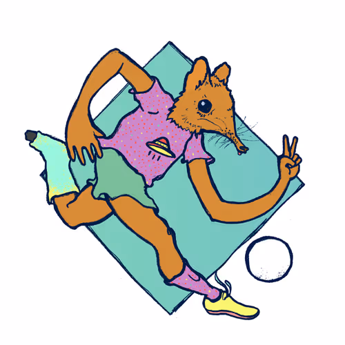 Footballcritter