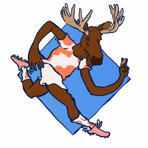 Footballcritter