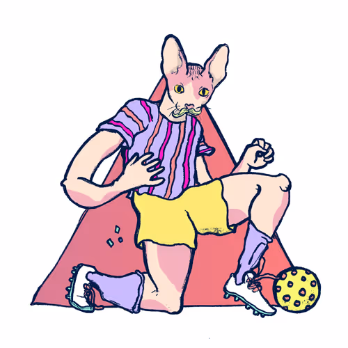 Footballcritter