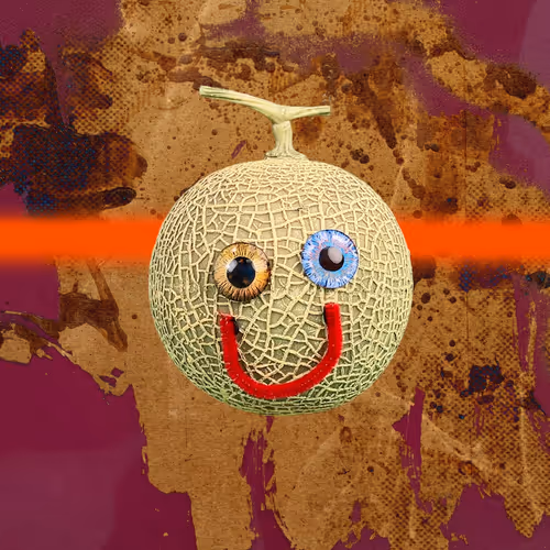 PFP Study II #8399