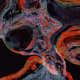 92