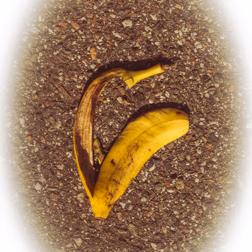 Dlawr Photo A Day 2024