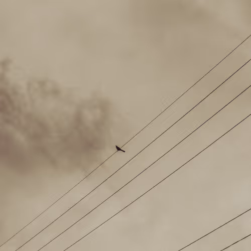 Dlawr Photo A Day 2024