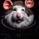 314