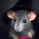 462