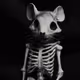 1066