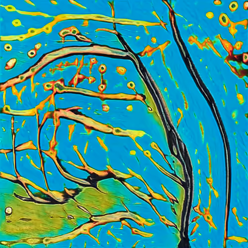 Color Is Freedom #1
