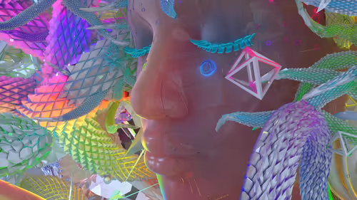 Item #62000030001 Media