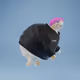 2447