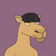 Camel #3317