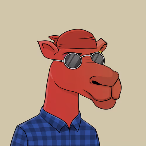 Camelsnftio 111