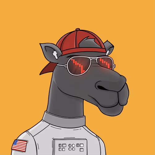 Camelsnftio 111