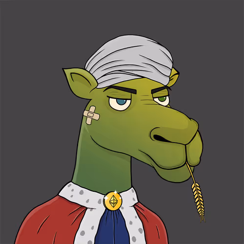 Camelsnftio 111