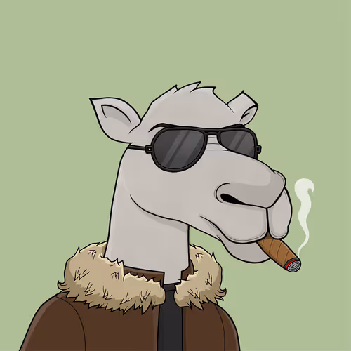 Camelsnftio 111