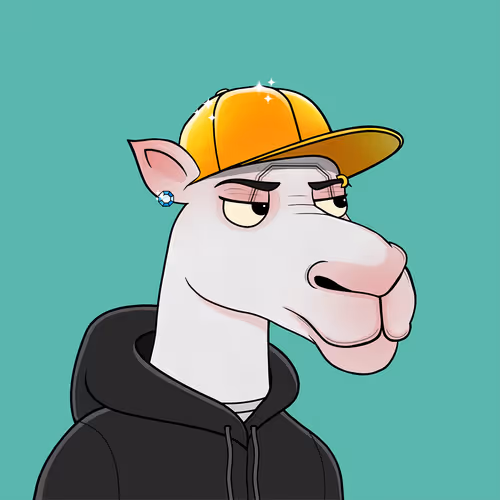 Camelsnftio 111