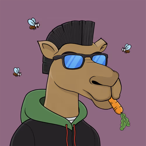 Camelsnftio 111