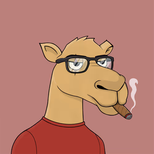 Camelsnftio 111