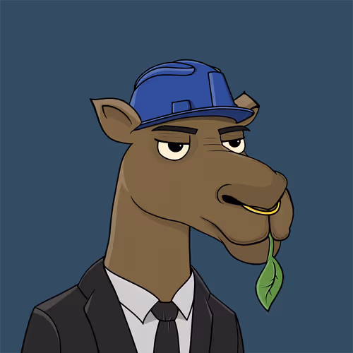 Camelsnftio 111
